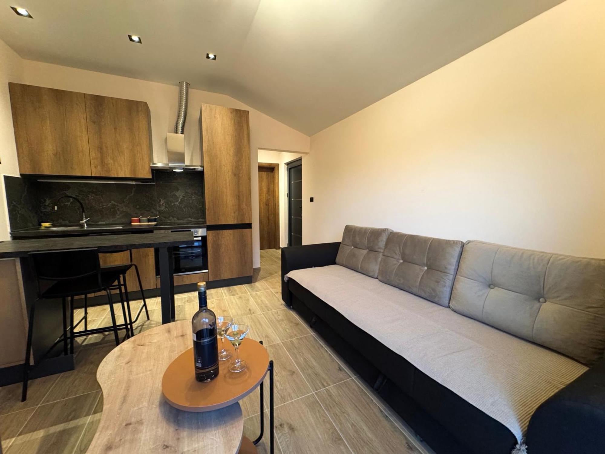 Victory Ss Apartment